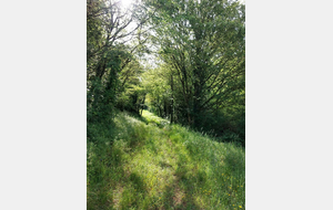 Appel à bénévoles pour le Main'Erve trail