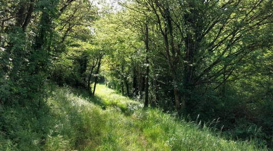 Appel à bénévoles pour le Main'Erve trail